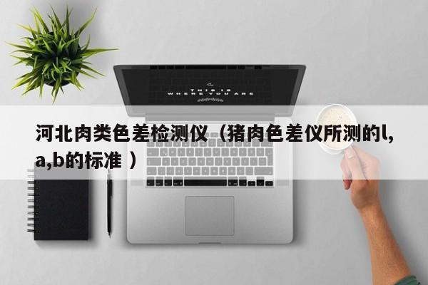 河北肉類色差檢測儀（豬肉色差儀所測的l,a,b的標(biāo)準(zhǔn) ）